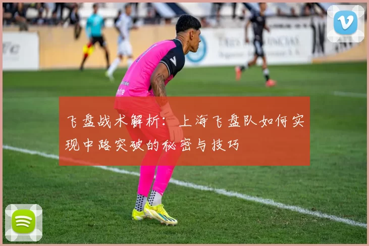 飞盘战术解析：上海飞盘队如何实现中路突破的秘密与技巧