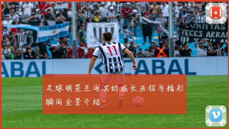 足球明星王海滨的成长历程与精彩瞬间全景介绍
