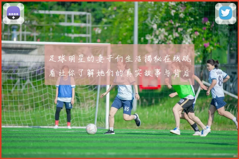 足球明星的妻子们生活揭秘在线观看让你了解她们的真实故事与背后的辛酸