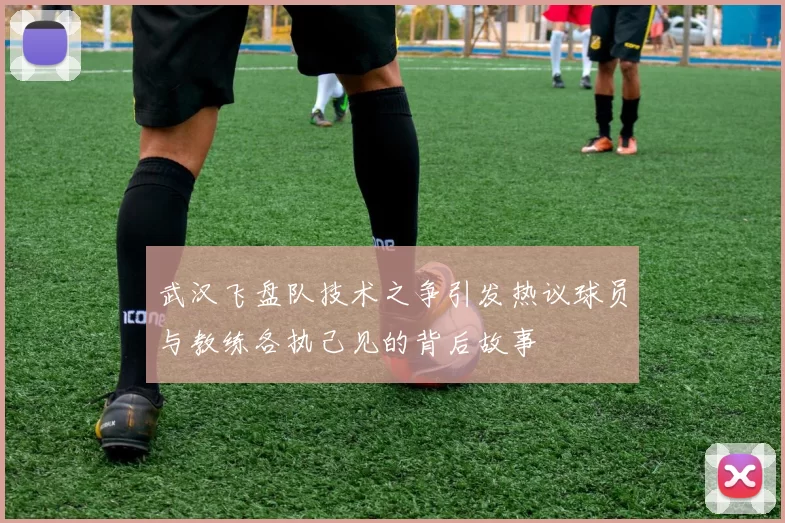 武汉飞盘队技术之争引发热议球员与教练各执己见的背后故事