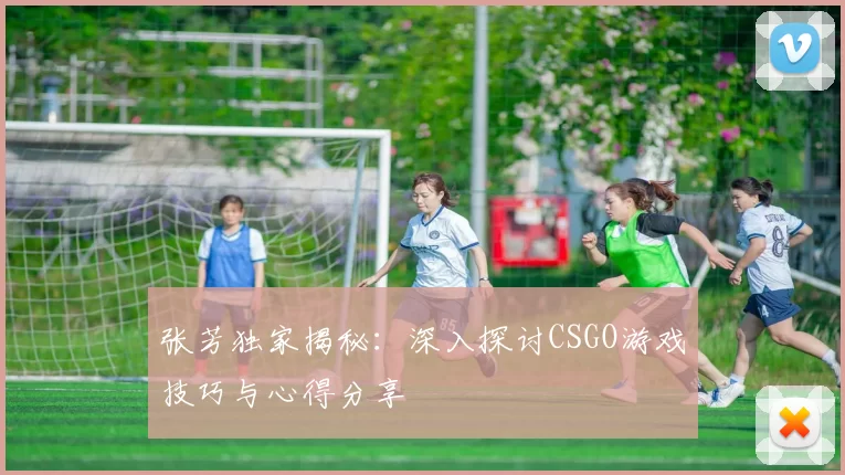 张芳独家揭秘：深入探讨CSGO游戏技巧与心得分享