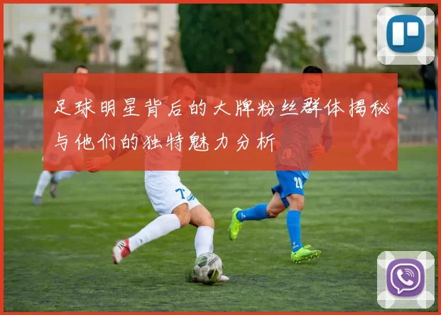 足球明星背后的大牌粉丝群体揭秘与他们的独特魅力分析