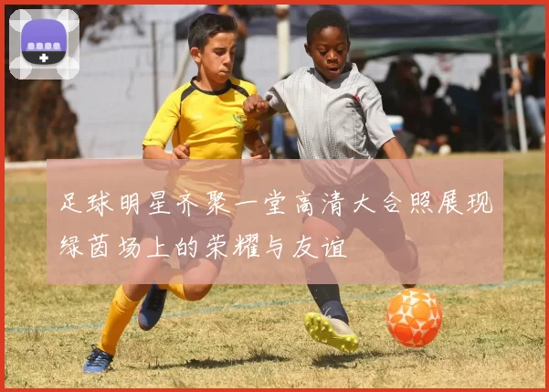 足球明星齐聚一堂高清大合照展现绿茵场上的荣耀与友谊