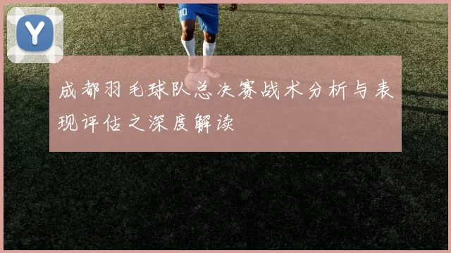 成都羽毛球队总决赛战术分析与表现评估之深度解读