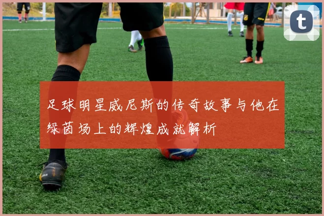 足球明星威尼斯的传奇故事与他在绿茵场上的辉煌成就解析