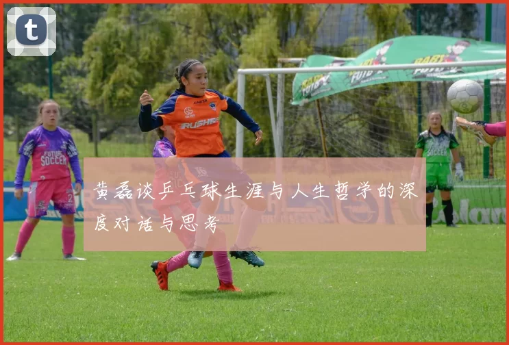 黄磊谈乒乓球生涯与人生哲学的深度对话与思考