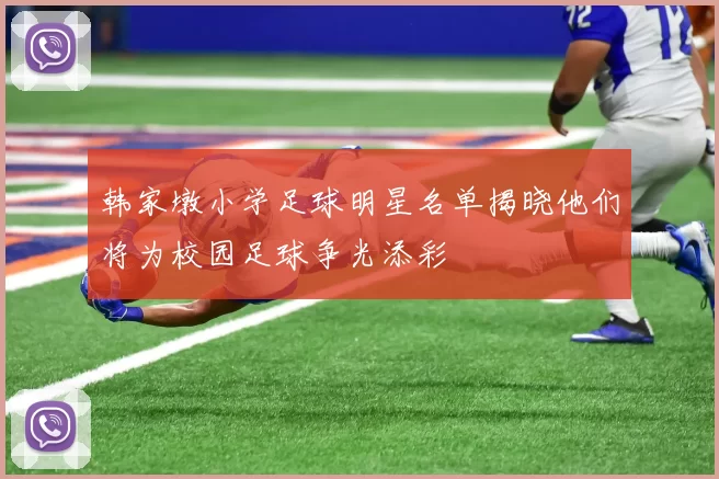 韩家墩小学足球明星名单揭晓他们将为校园足球争光添彩