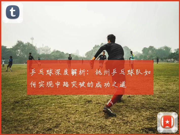 乒乓球深度解析：杭州乒乓球队如何实现中路突破的成功之道