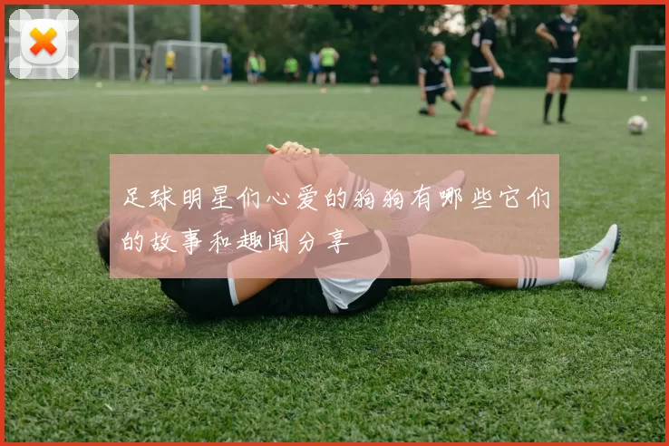 足球明星们心爱的狗狗有哪些它们的故事和趣闻分享