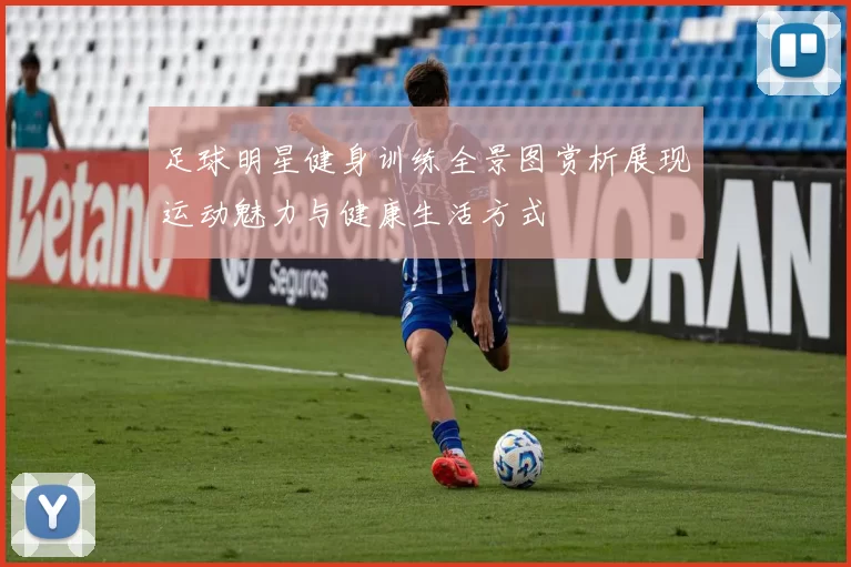 足球明星健身训练全景图赏析展现运动魅力与健康生活方式
