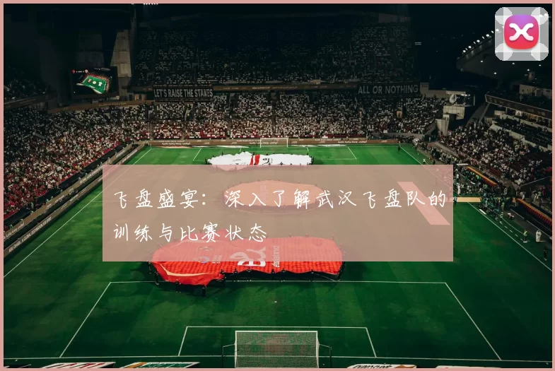 飞盘盛宴：深入了解武汉飞盘队的训练与比赛状态