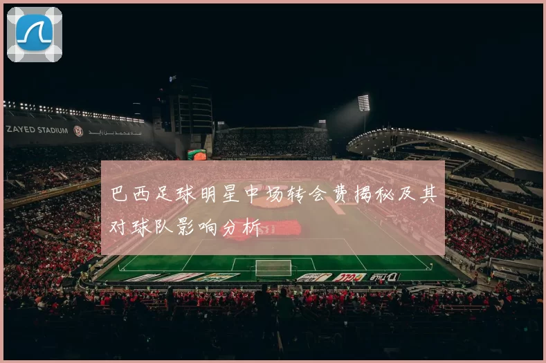 巴西足球明星中场转会费揭秘及其对球队影响分析
