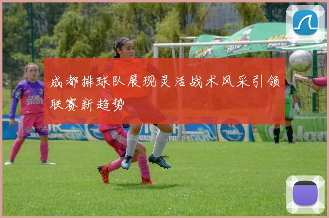 成都排球队展现灵活战术风采引领联赛新趋势