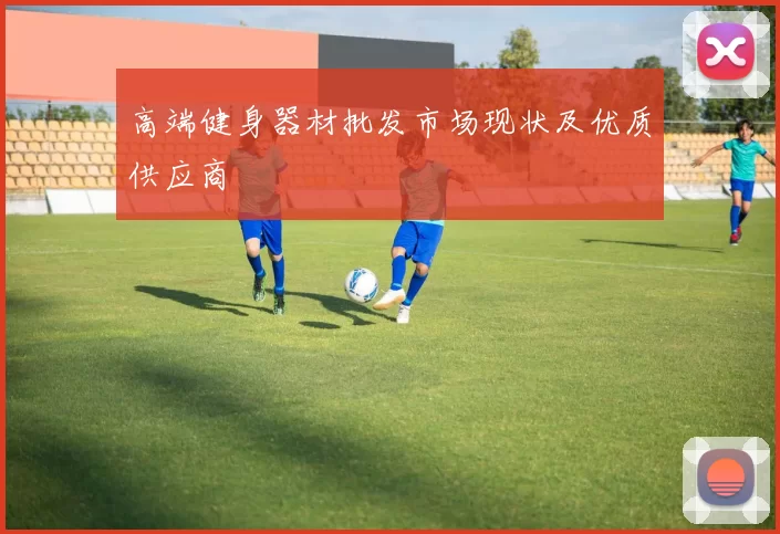 高端健身器材批发市场现状及优质供应商